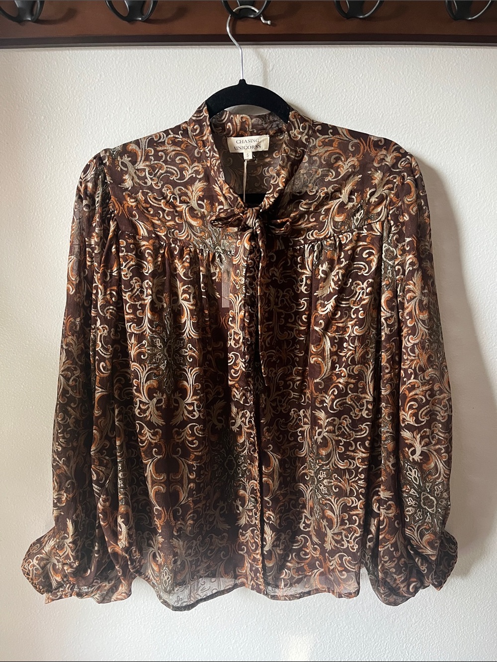 Chasing Unicorns 🍂 Silk Chiffon Balloon Sleeve Sheer Blouse sz S